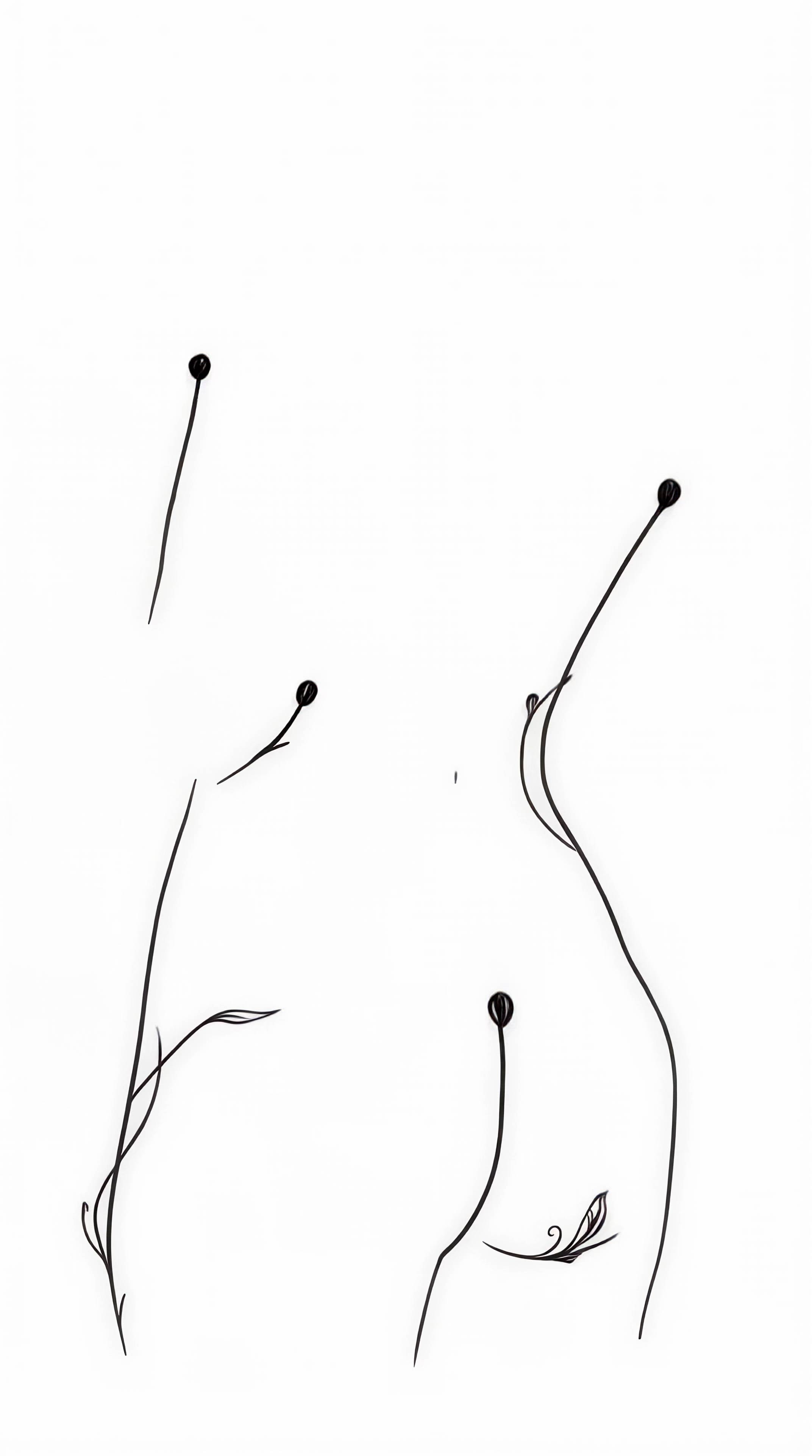 On Drawing in the Dark